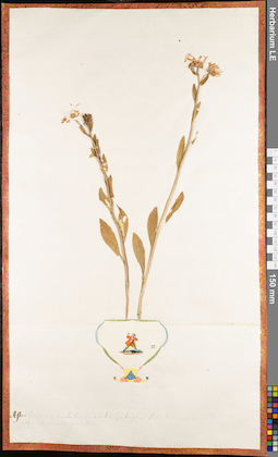 LE 01062563
