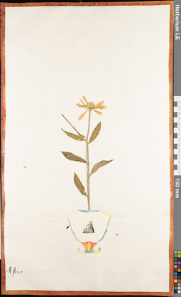 LE 01062565