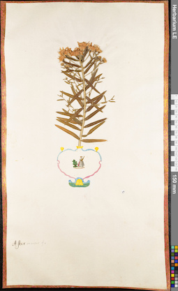 LE 01062566