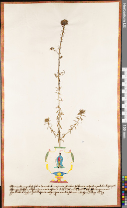LE 01062634
