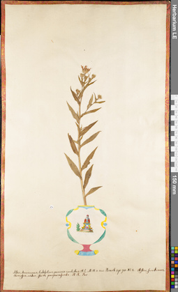 LE 01062640
