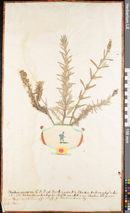 LE 01062643