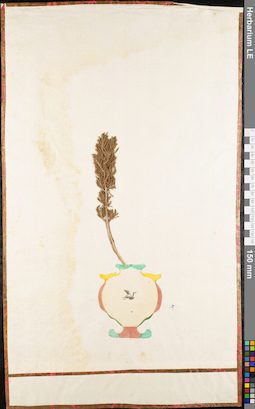 LE 01062649