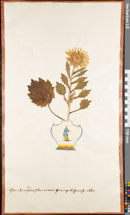 LE 01062662