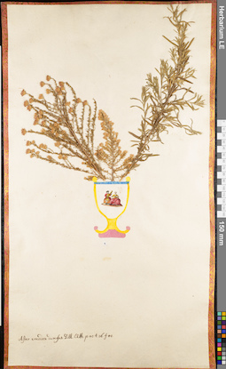 LE 01062664