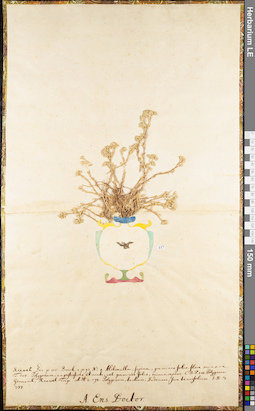 LE 01062673