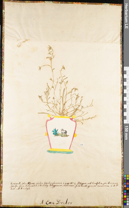 LE 01062674