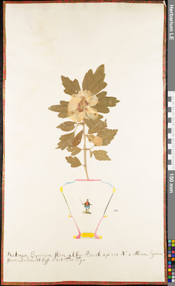 LE 01062676