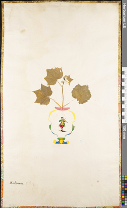 LE 01062678