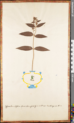 LE 01062815
