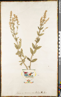 LE 01062851