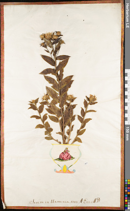 LE 01062854
