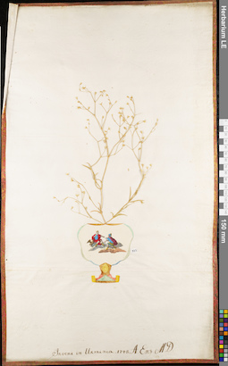 LE 01062858