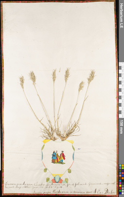 LE 01062866