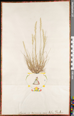 LE 01062867