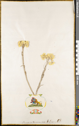 LE 01062877