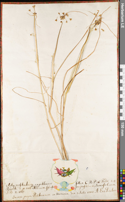 LE 01062879