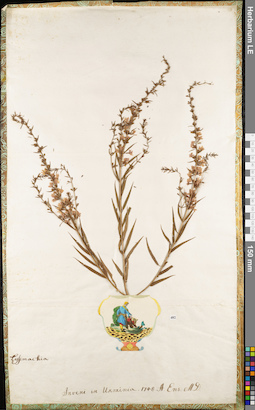 LE 01062888