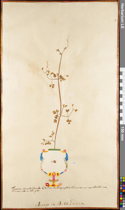 LE 01062889
