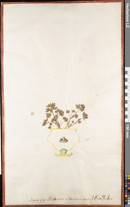 LE 01062892