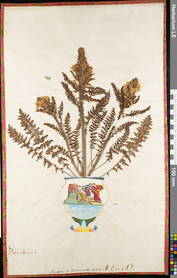 LE 01063069