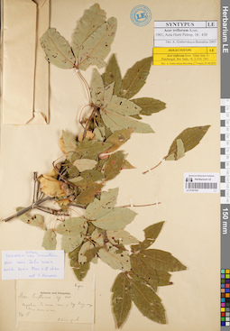 LE 01001953