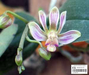 LE 01087345