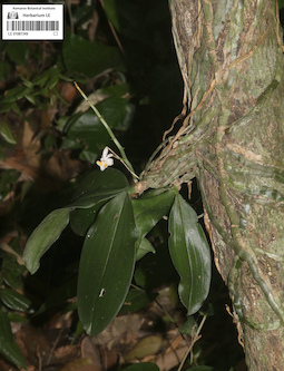 LE 01087349