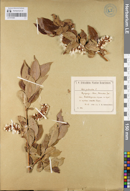 LE 01079480