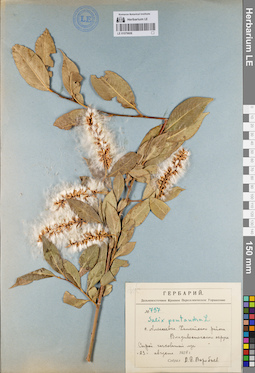 LE 01079608