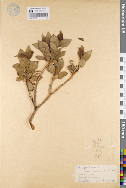 LE 01079783