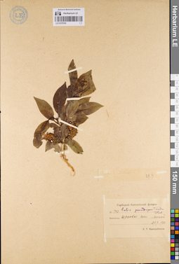 LE 01079785