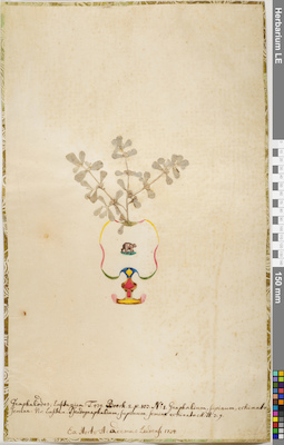 LE 01084658