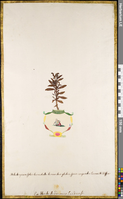 LE 01052307