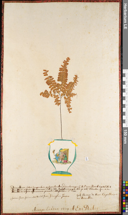 LE 01052337