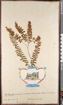 LE 01052338