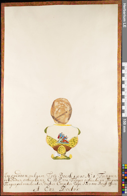 LE 01052352