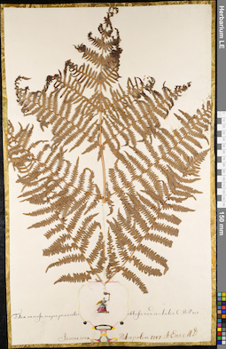 LE 01052356