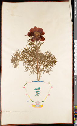 LE 01052373