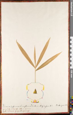 LE 01062764