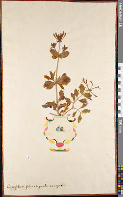 LE 01062767