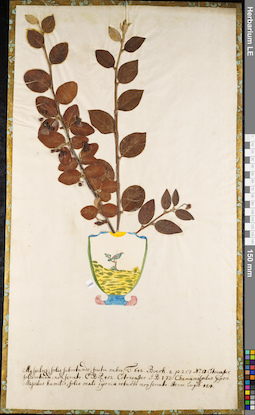 LE 01062771