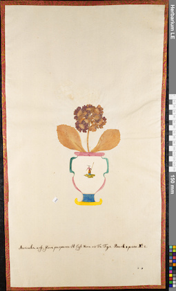 LE 01062777