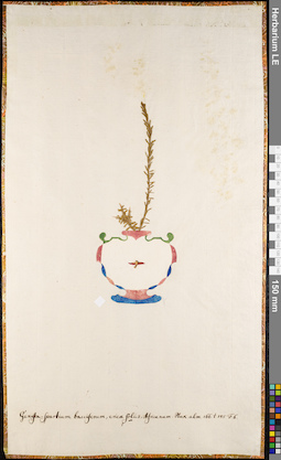 LE 01062783