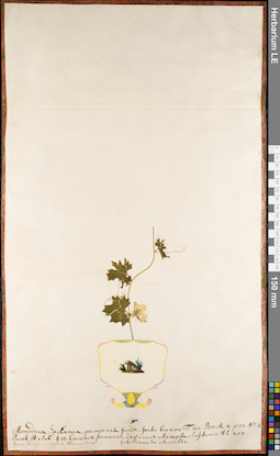 LE 01084213