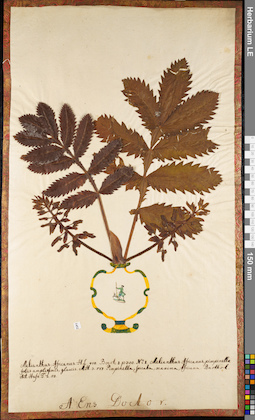 LE 01084219