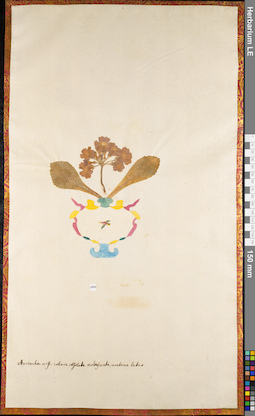 LE 01084220