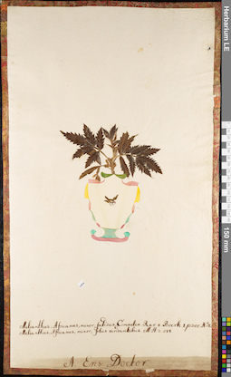 LE 01084227