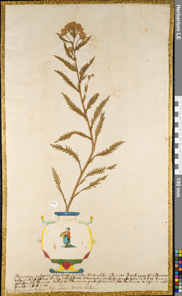 LE 01084229