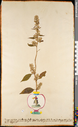 LE 01084489